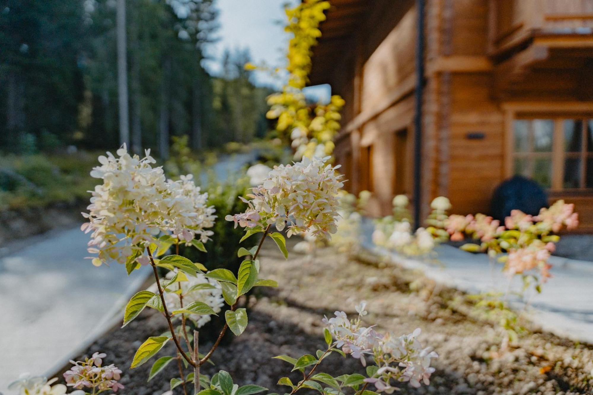 Sissi'S Green Chalets Leutasch Buitenkant foto