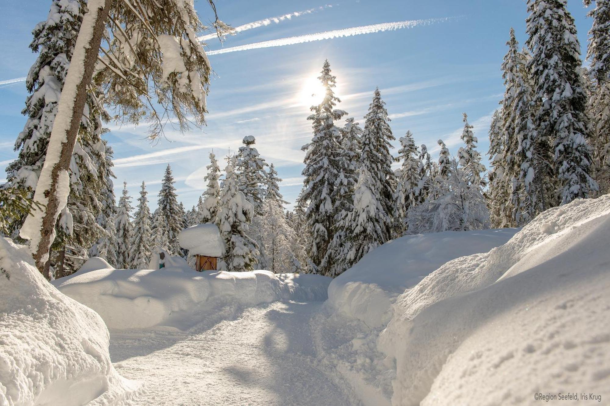 Sissi'S Green Chalets Leutasch Buitenkant foto
